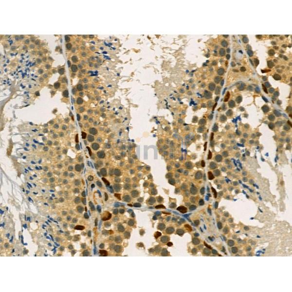 Валидация Affinity AF3747 - 2039