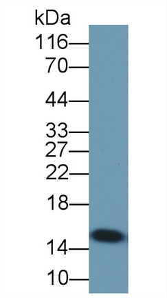 8472