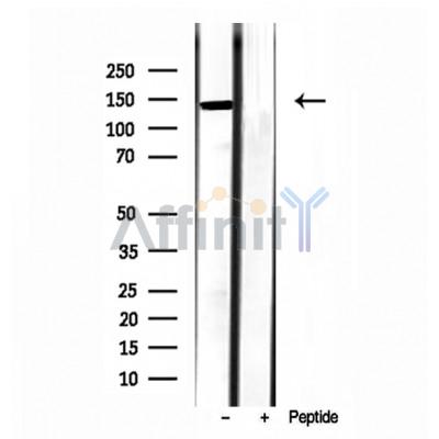 Валидация Affinity DF12089 - 6190
