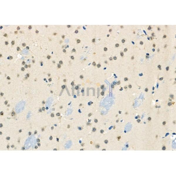 Валидация Affinity DF2905 - 13636