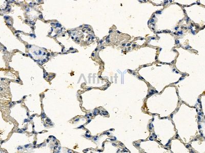 Валидация Affinity DF13056 - 7906