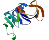 Homing Associated Cell Adhesion Molecule (HCAM) Homing Associated Cell Adhesion Molecule (HCAM)
