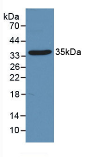 15002