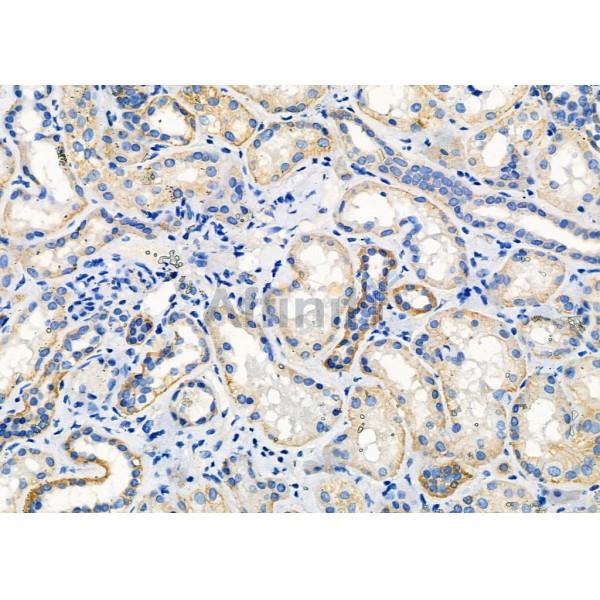 Валидация Affinity DF10228 - 5802