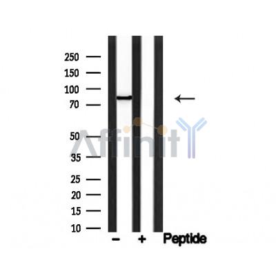 Валидация Affinity AF4735 - 2354