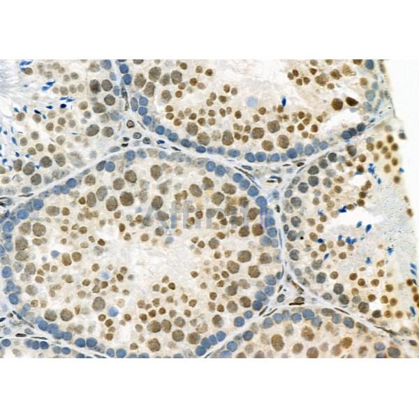 Валидация Affinity DF3158 - 13958