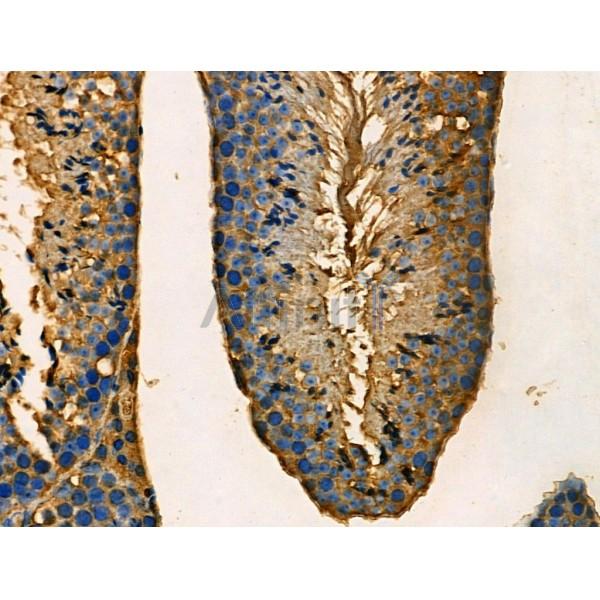 Валидация Affinity DF3091 - 13844