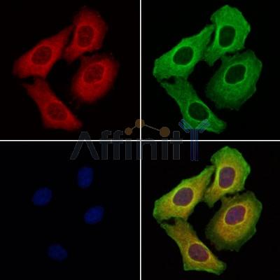 Валидация Affinity DF5172 - 17145