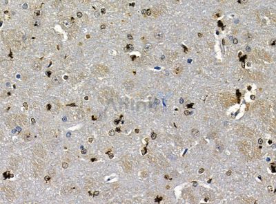 Валидация Affinity DF14258 - 10112