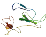 Mitochondrial Fission Factor (MFF) Mitochondrial Fission Factor (MFF)