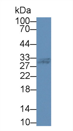 14072