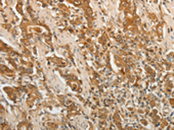 Валидация AssayVector ARM2389(4195)