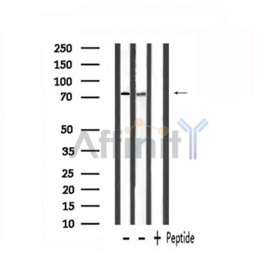 Валидация Affinity DF6152 - 17387