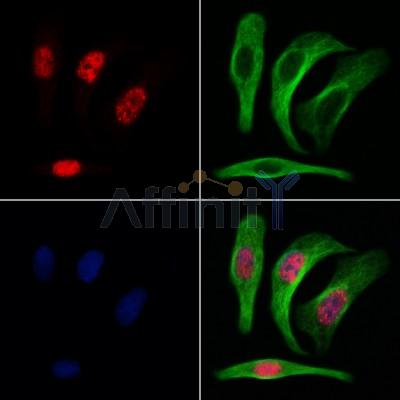 Валидация Affinity AF4776 - 2396