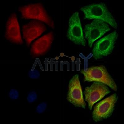 Валидация Affinity DF9728 - 22527