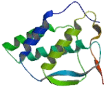 FMS Like Tyrosine Kinase 3 Ligand (Flt3L) FMS Like Tyrosine Kinase 3 Ligand (Flt3L)