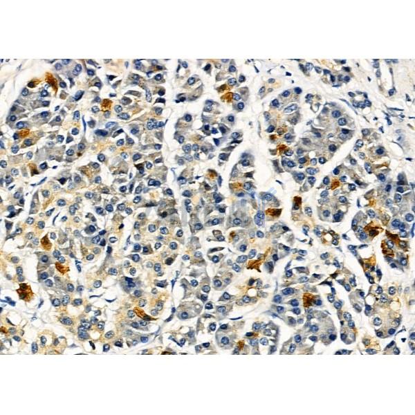 Валидация Affinity DF2908 - 13641