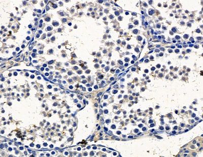 Валидация Affinity DF15459 - 11818