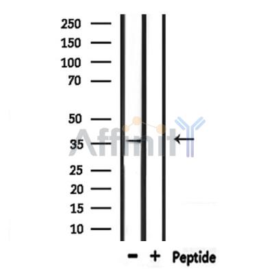 Валидация Affinity DF10273 - 5879