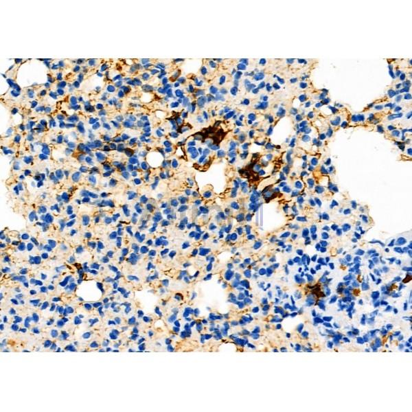 Валидация Affinity DF10202 - 5757