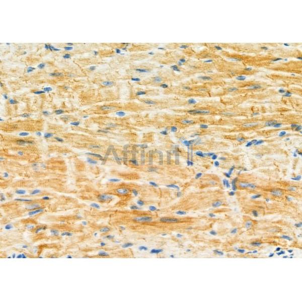 Валидация Affinity DF12455 - 6994