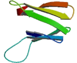 Serine/Threonine Kinase Receptor Associated Protein (STRAP) Serine/Threonine Kinase Receptor Associated Protein (STRAP)