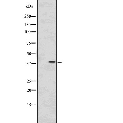 Валидация Affinity DF2991 - 13729