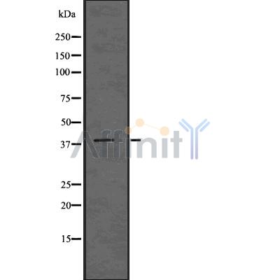 Валидация Affinity DF7505 - 19245
