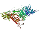 Integrin Alpha 9 (ITGa9) Integrin Alpha 9 (ITGa9)