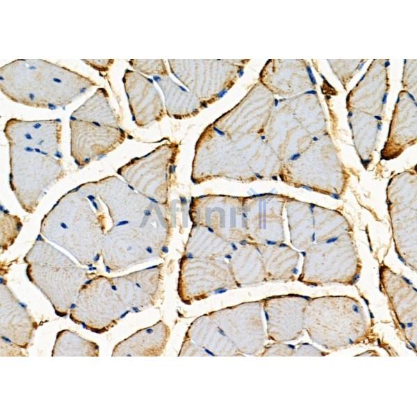 Валидация Affinity DF7756 - 19568