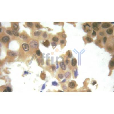 Валидация Affinity AF3484 - 2011