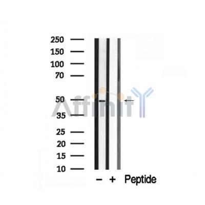Валидация Affinity AF7851 - 4585