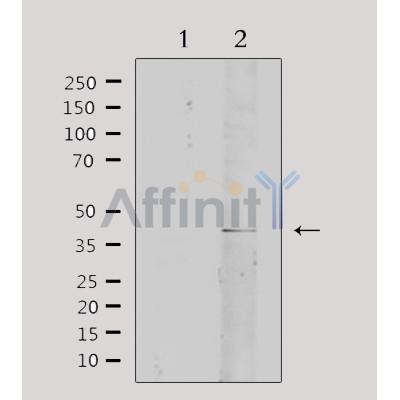 Валидация Affinity DF3550 - 14502