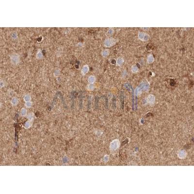 Валидация Affinity AF5192 - 2635