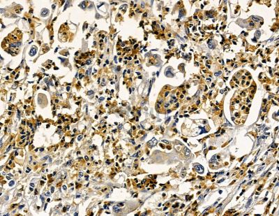 Валидация Affinity DF15834 - 12342