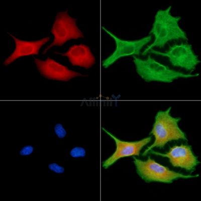 Валидация Affinity DF2823 - 13575