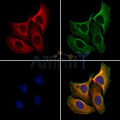 Валидация Affinity AF4000 - 2102