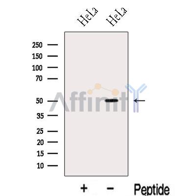 Валидация Affinity DF13112 - 8016