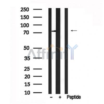 Валидация Affinity AF7600 - 4268