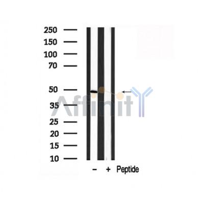 Валидация Affinity AF7814 - 4536