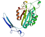 Integrin Beta 8 (ITGb8) Integrin Beta 8 (ITGb8)