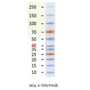 Валидация AFFINITY KF8009 - 3