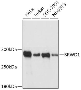 Валидация Elabscience E-AB-64293
