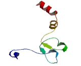 Diptheria Toxin Resistance Protein Required For Diphthamide Biosynthesis Like Protein 2 (DPH2L2)