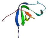 Benzodiazapine Receptor Associated Protein 1 (BZRAP1) Benzodiazapine Receptor Associated Protein 1 (BZRAP1)