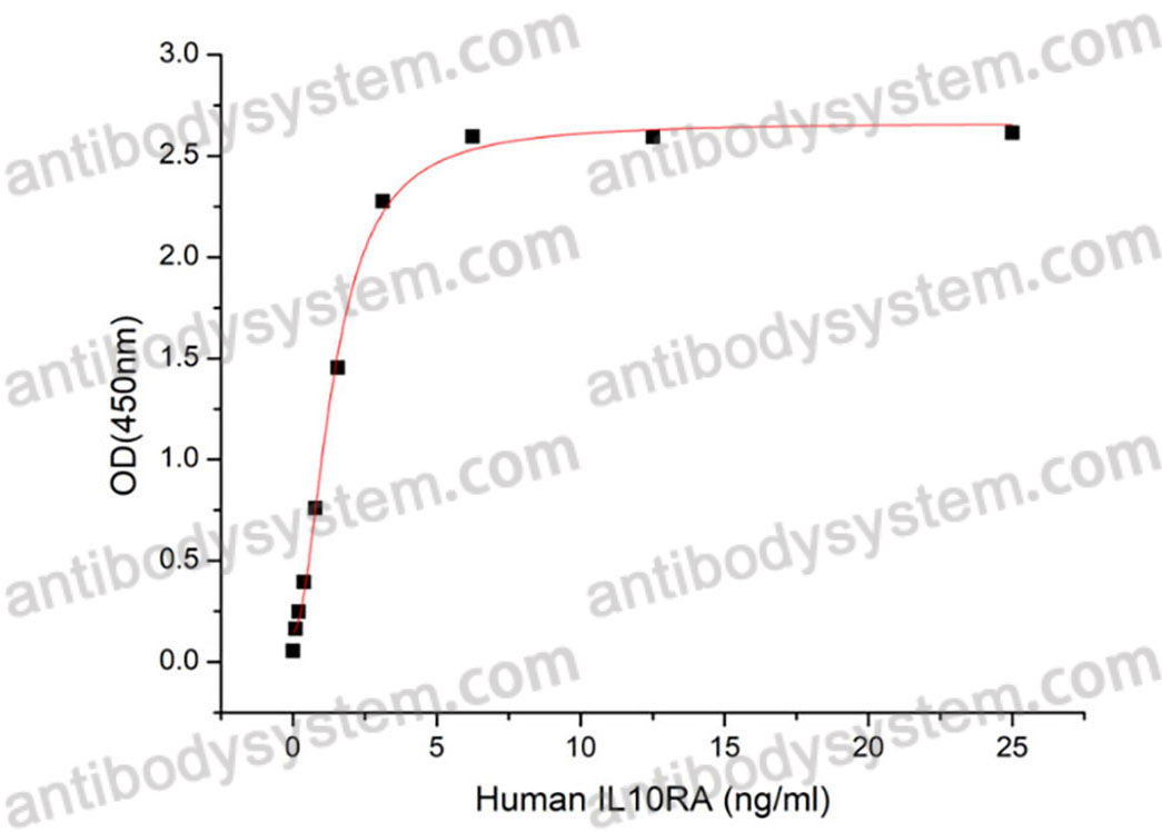 Валидация активности AntibodySystem AHG62901