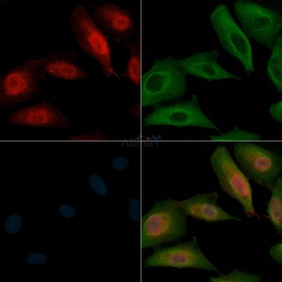 Валидация Affinity AF4119 - 2170