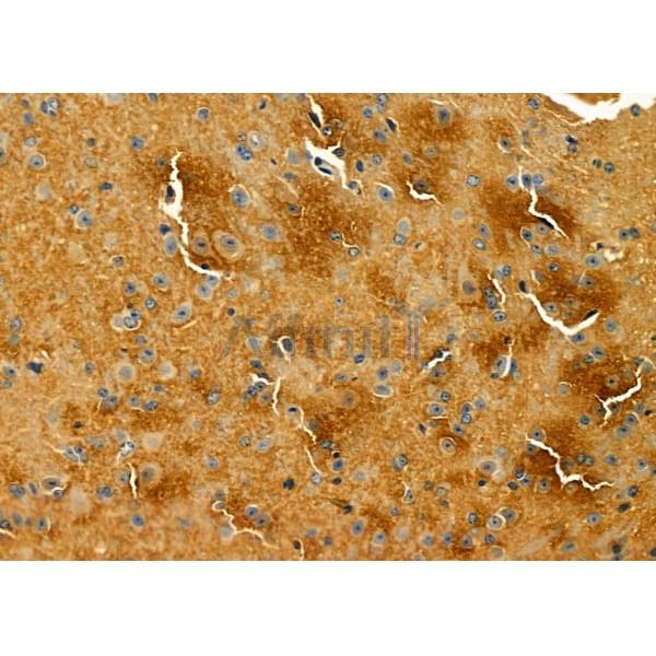 Валидация Affinity DF4798 - 16534