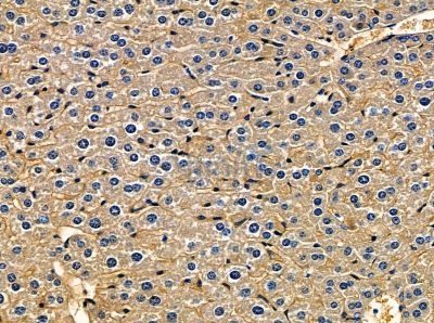 Валидация Affinity DF13968 - 9722