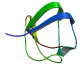 SH3 Domain And Tetratricopeptide Repeats Protein 2 (SH3TC2)